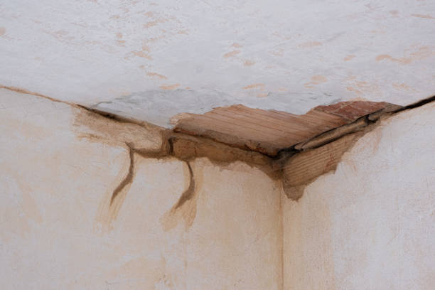 Best Water damage cleanup near me  in Ridgeway, VA