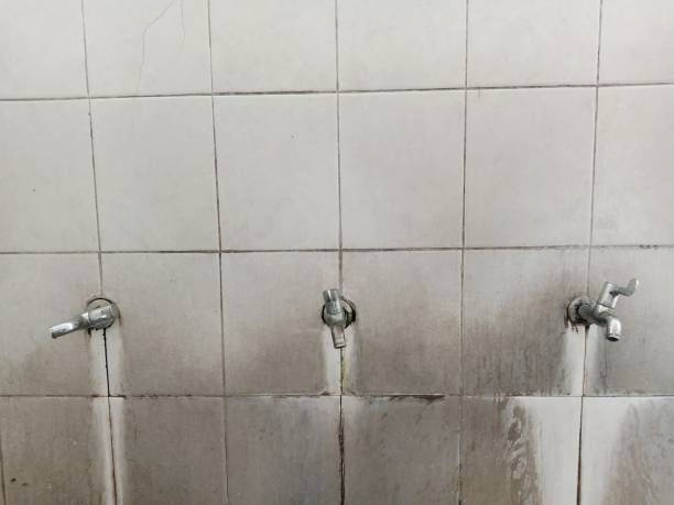 Best Water damage restoration mold remediation  in Ridgeway, VA