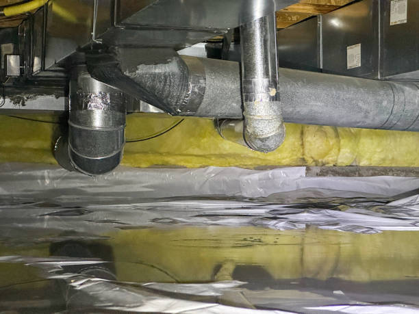 Best Water damage restoration near me  in Ridgeway, VA