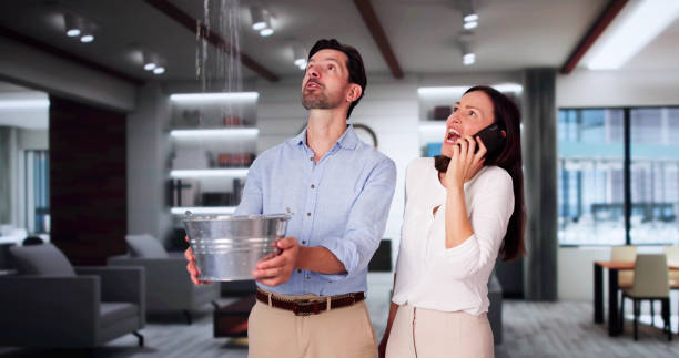 Best Flood restoration services  in Ridgeway, VA